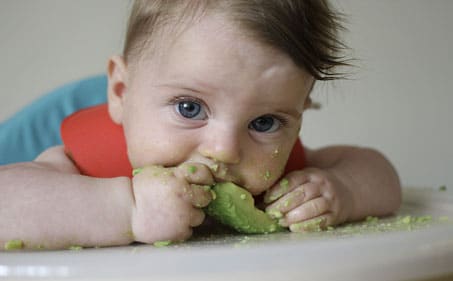 Bebeklere Avokado Ek Gıda